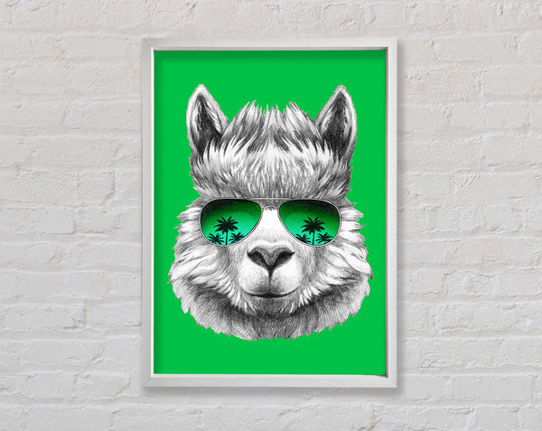 Lama Cool