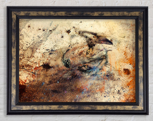 Wolf Wonder Framed Print