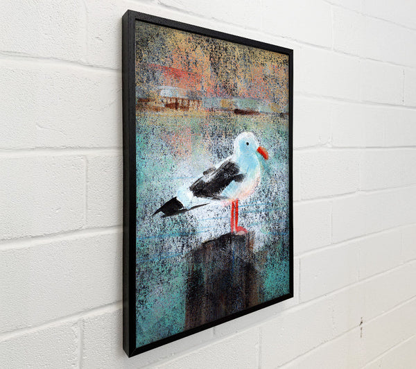 Seagull Perch
