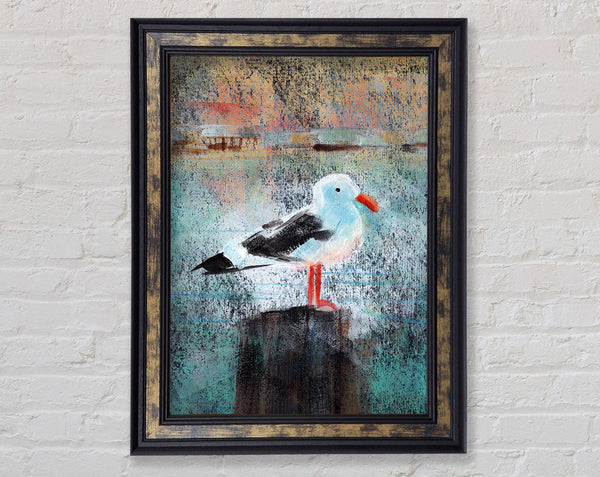 Seagull Perch Framed Print