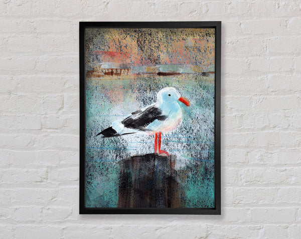 Seagull Perch Framed Print
