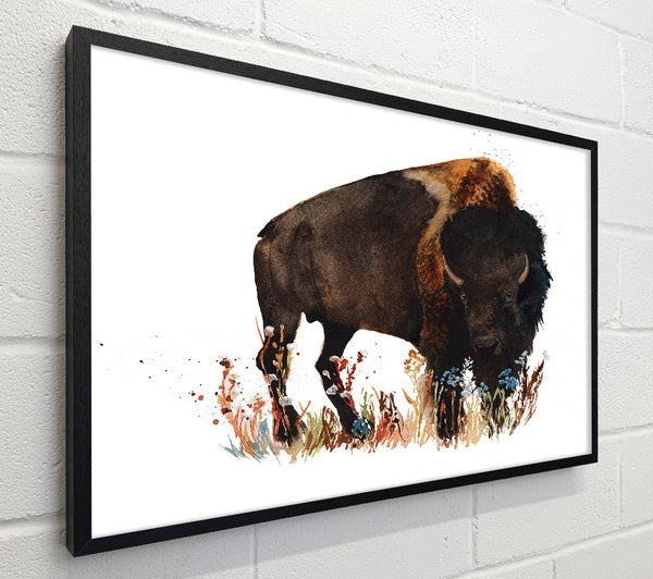 Bison Love