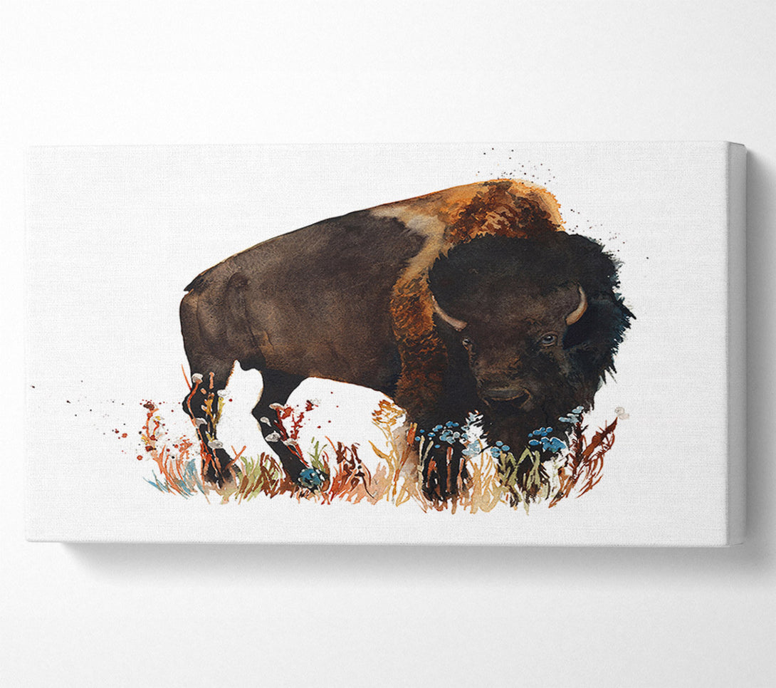  A Canvas Print of Bison Love Canvas Art