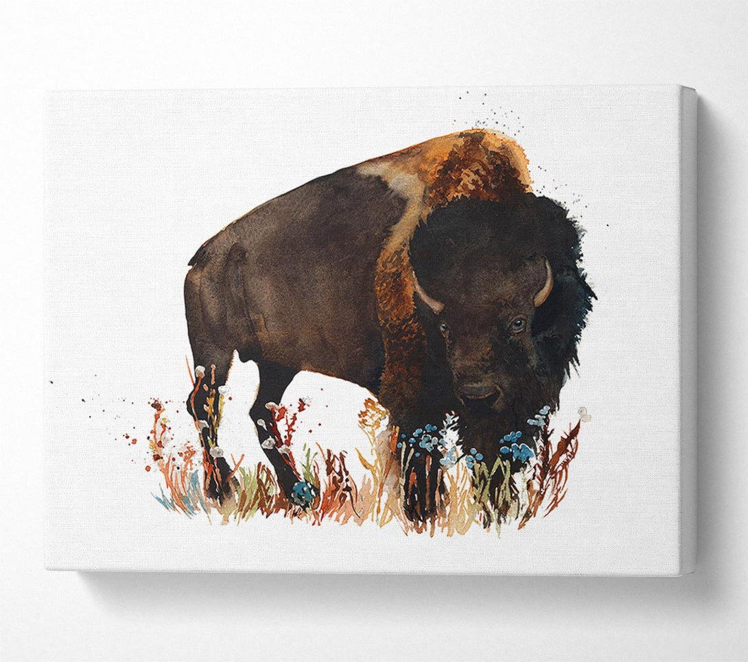  A Canvas Print of Bison Love Canvas Art