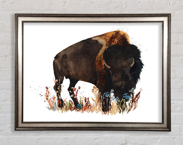 Bison-Liebe
