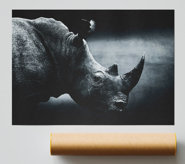 Rhinoceros Beauty Print