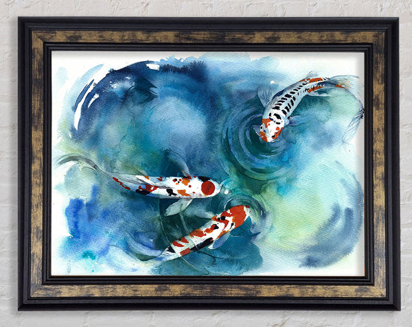 Koi Fish Teatime