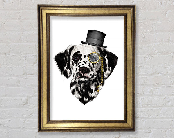 Kluger Dalmatinerhund