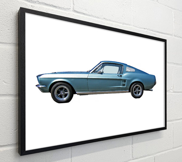 Mustang 6
