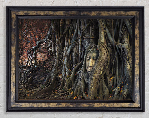 Buddha 33 Framed Print