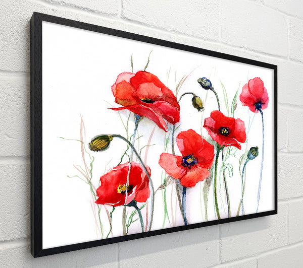 Poppy Magic Skies