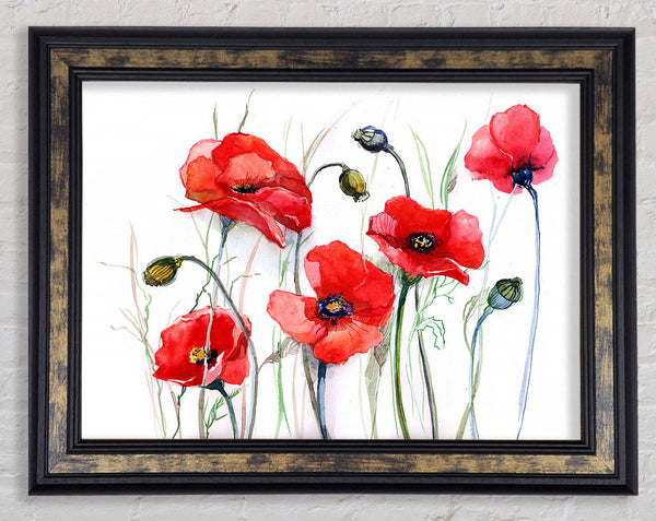 Poppy Magic Skies Framed Print
