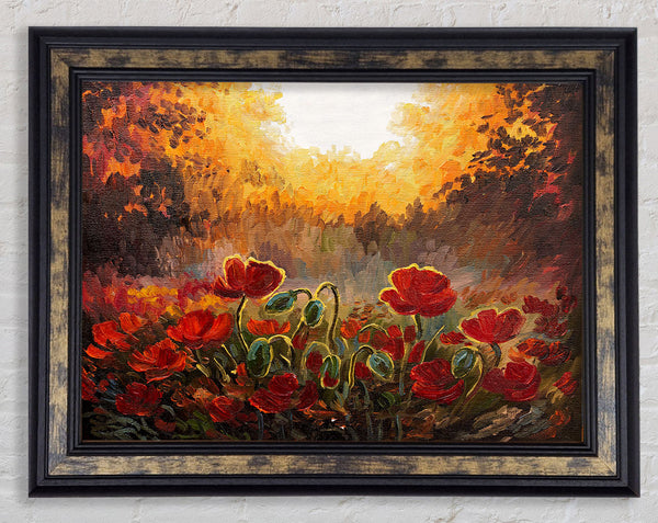 Poppies Finding The Sun Framed Print