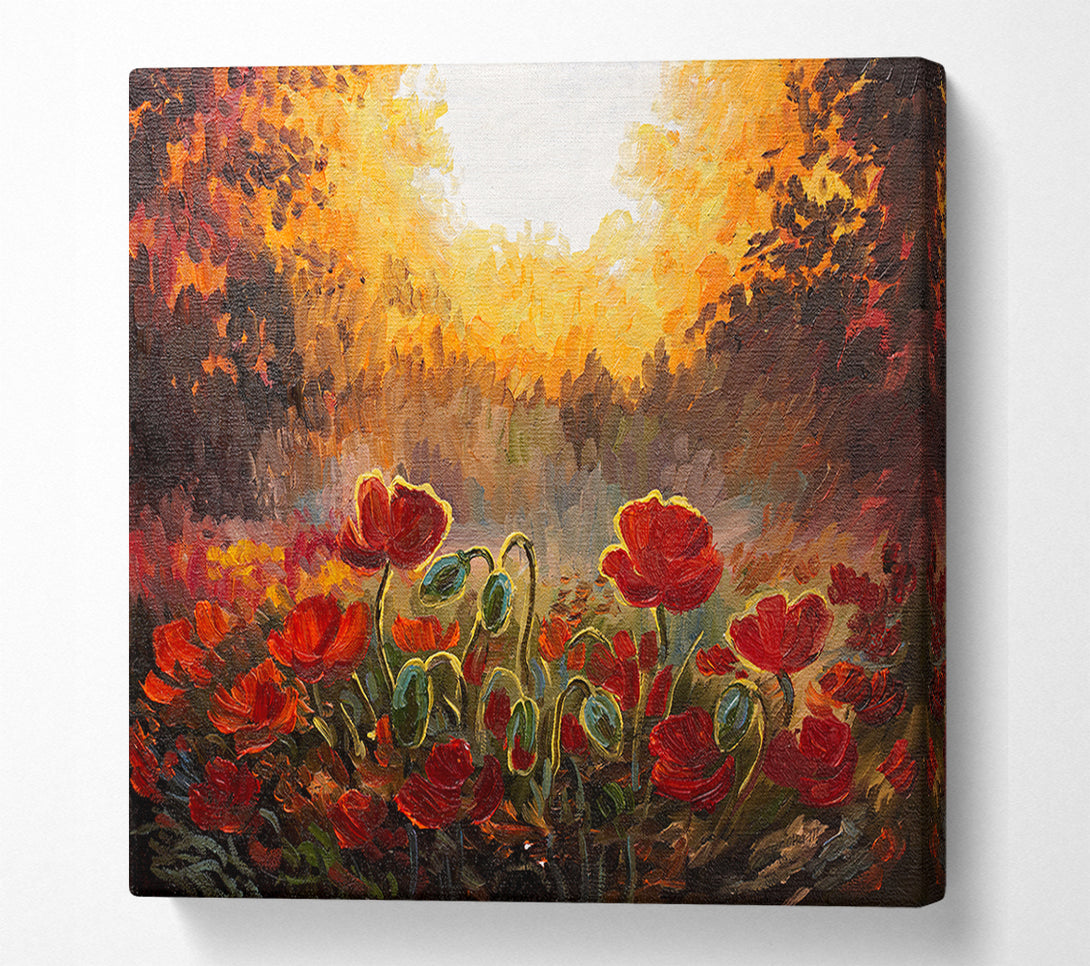  A Canvas Print of Poppies Finding The Sun Canvas Print