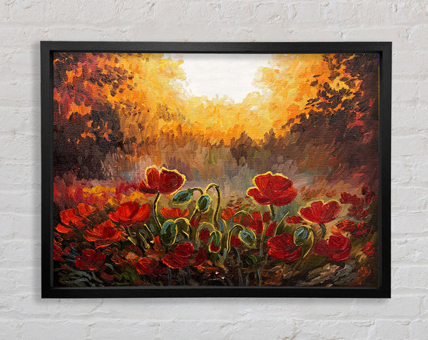 Mohnblumen finden die Sonne