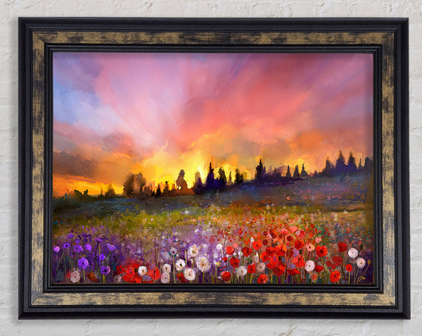 Sun Break Over The Wild Flowers Framed Print