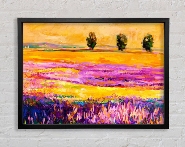 Pink Fields Of Gold Framed Print