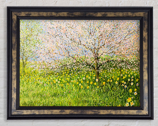 Spring Time Framed Print