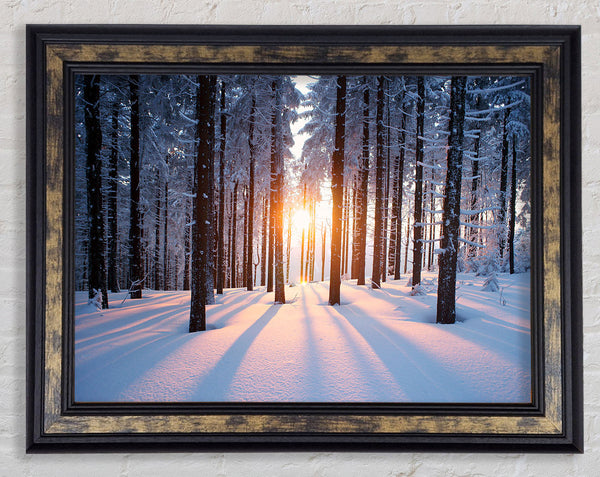 Sun Burst Snow Trees Framed Print