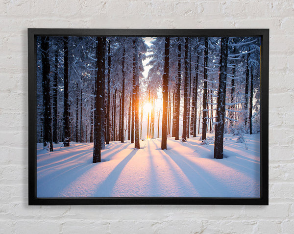 Sonne platzt Schnee Bäume
