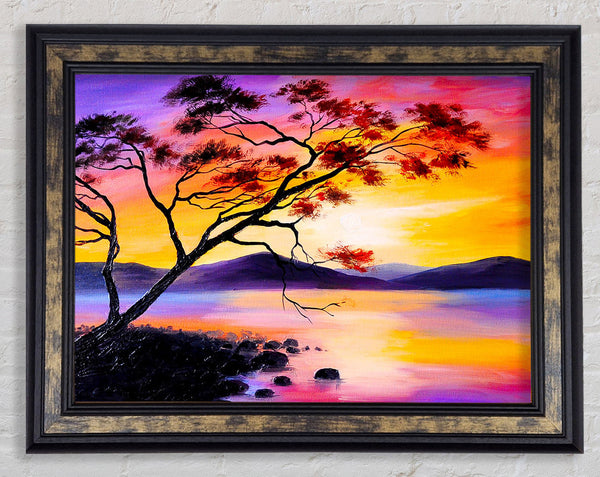 Sunset Lake Tree Framed Print