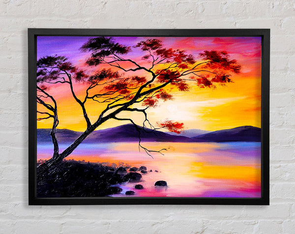 Sunset Lake Tree Framed Print