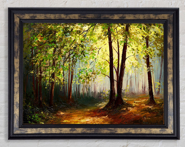 Green Tree Sun Haze Framed Print