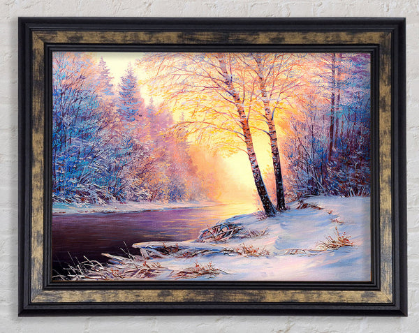 Iced Winter beauty Framed Print