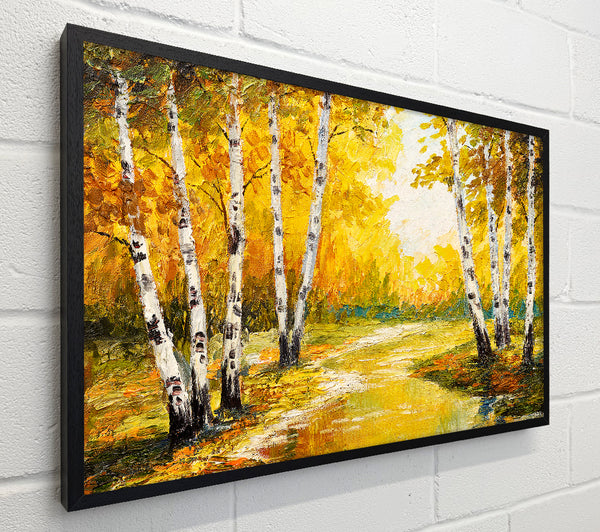 Yellow Silver Birch Walk