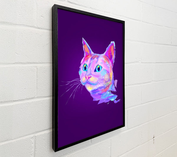 Rainbow Cat