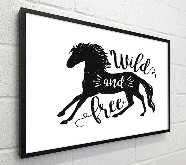 Wild And Free Like A Horse
