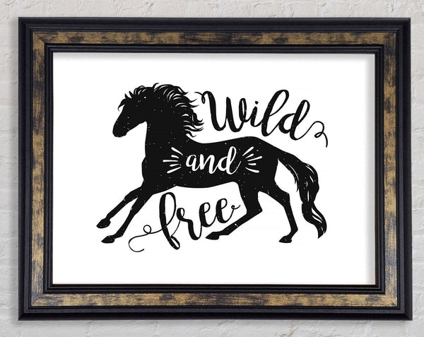 Wild And Free Like A Horse Framed Print