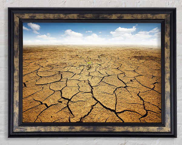 Signs Of Life Framed Print