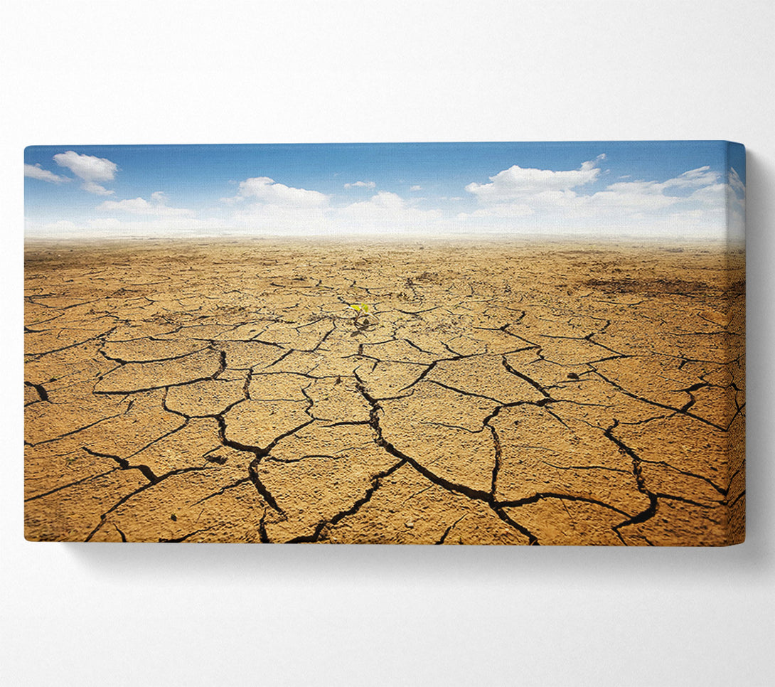 A Canvas Print of Signs Of Life Canvas Wall Art