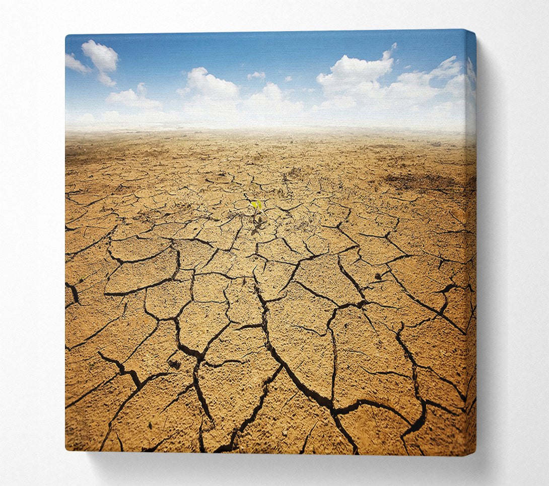  A Canvas Print of Signs Of Life Canvas Wall Art