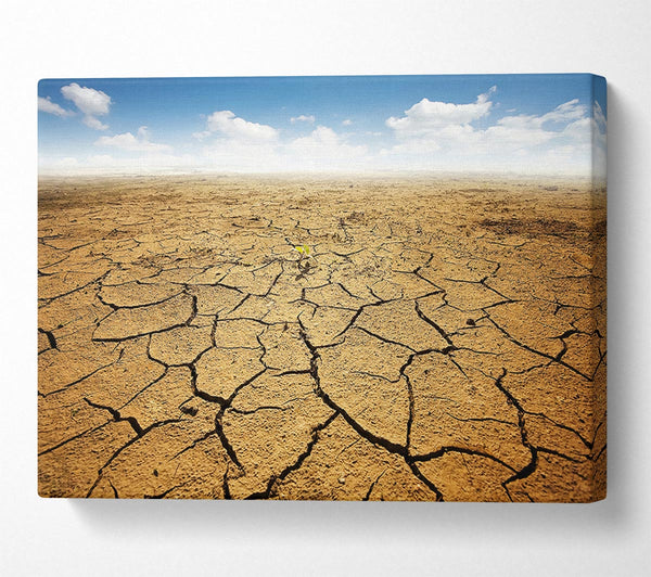  A Canvas Print of Signs Of Life Canvas Wall Art