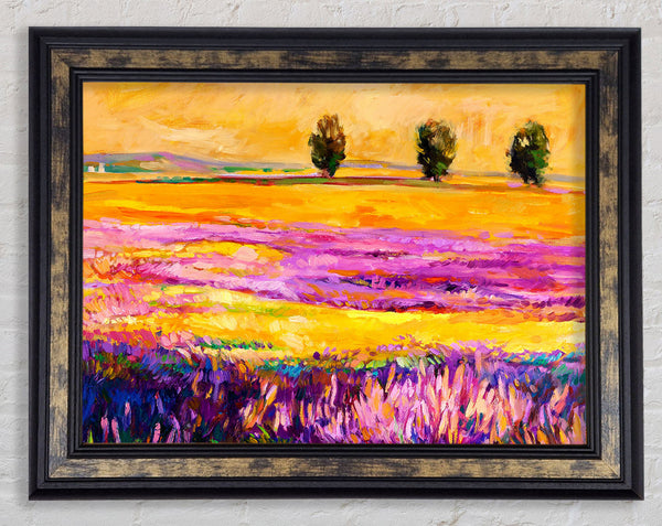 Pinks In A Field Of Gold Landscape Framed Print