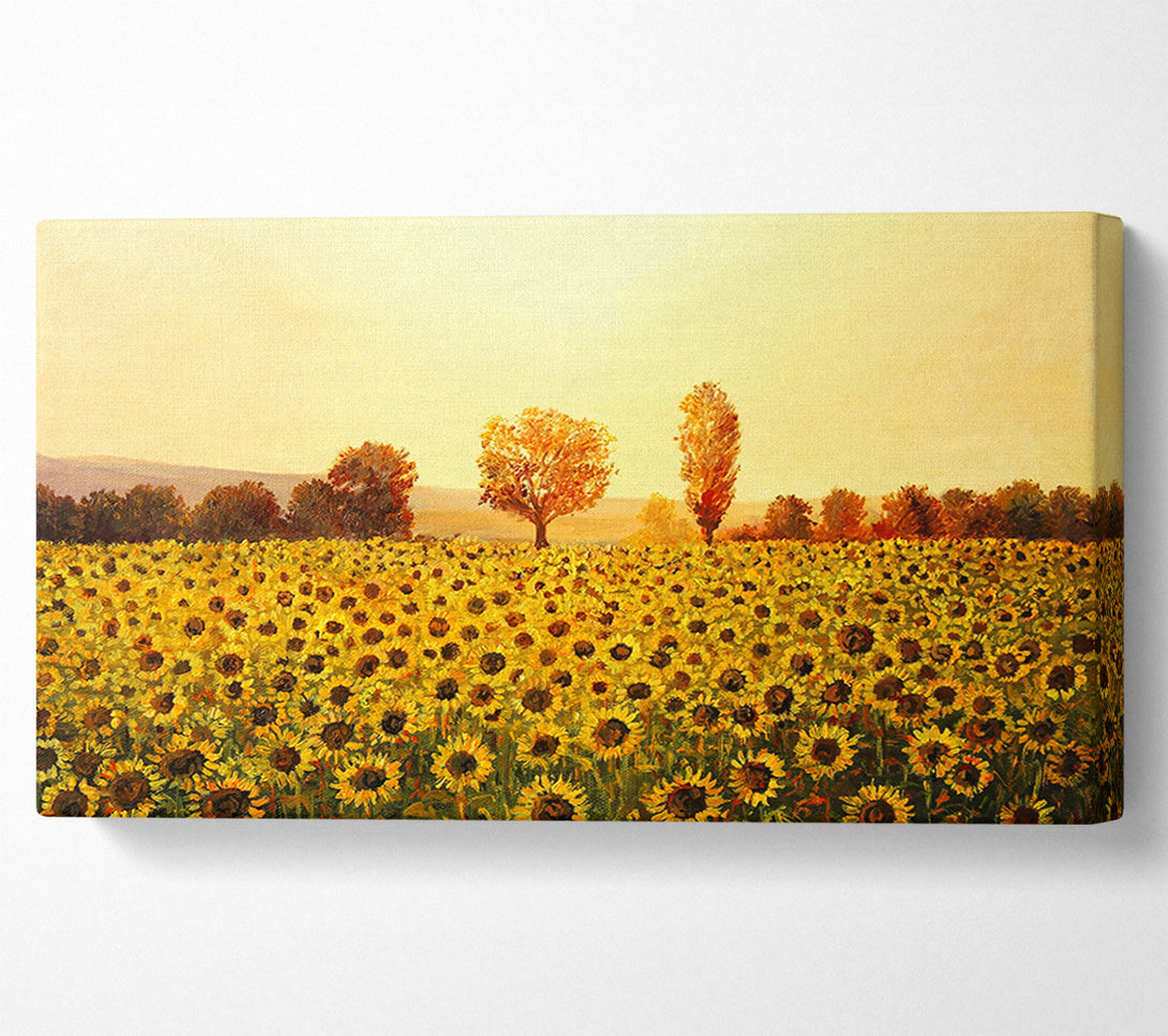  A Canvas Print of Nothing But Sunflowers Canvas Art