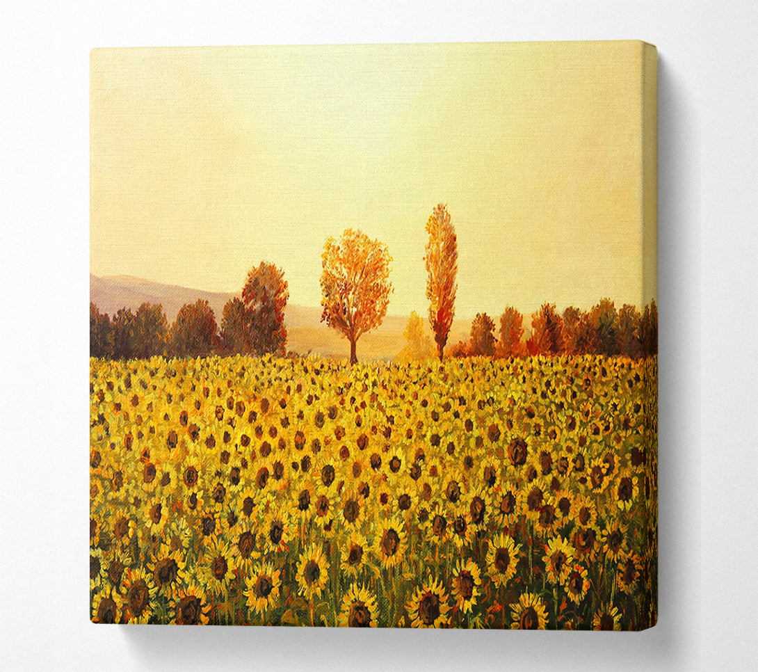  A Canvas Print of Nothing But Sunflowers Canvas Art