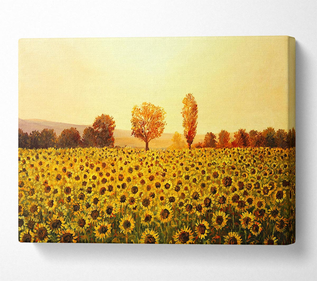  A Canvas Print of Nothing But Sunflowers Canvas Art