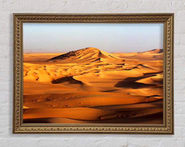Desert Mound