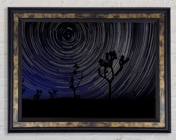 Vortex Trees 1 Framed Print