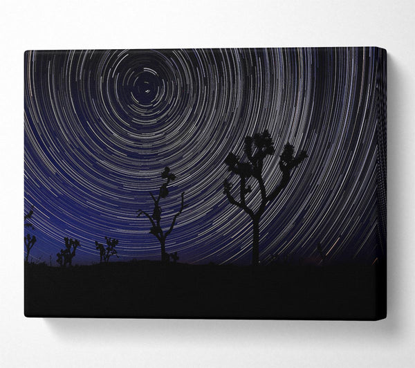  A Canvas Print of Vortex Trees 1 Canvas Wall Art