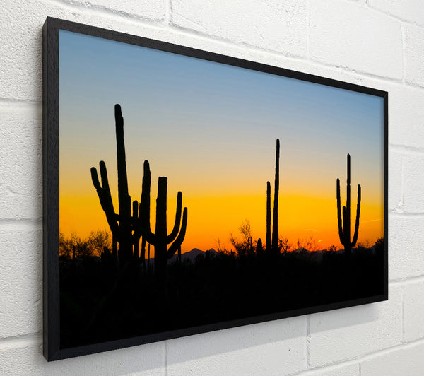 Cactus Sunset