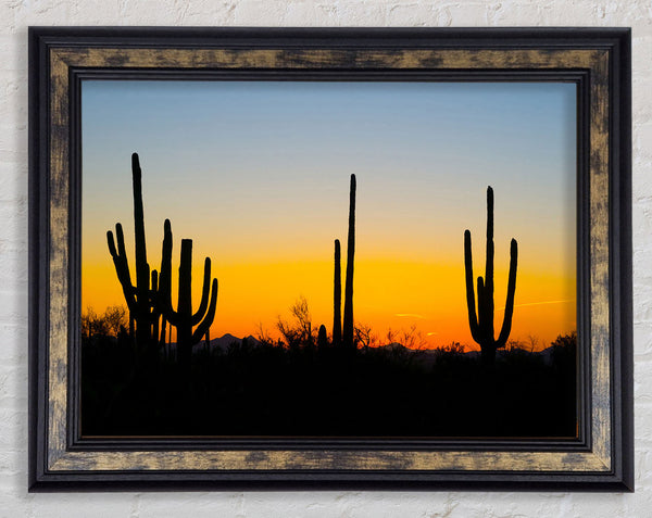 Cactus Sunset Framed Print