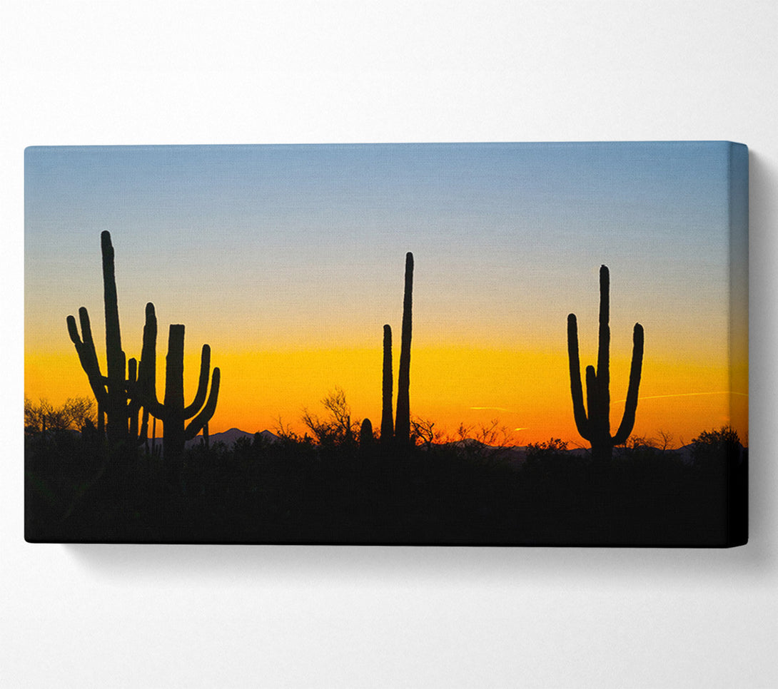  A Canvas Print of Cactus Sunset Canvas Art