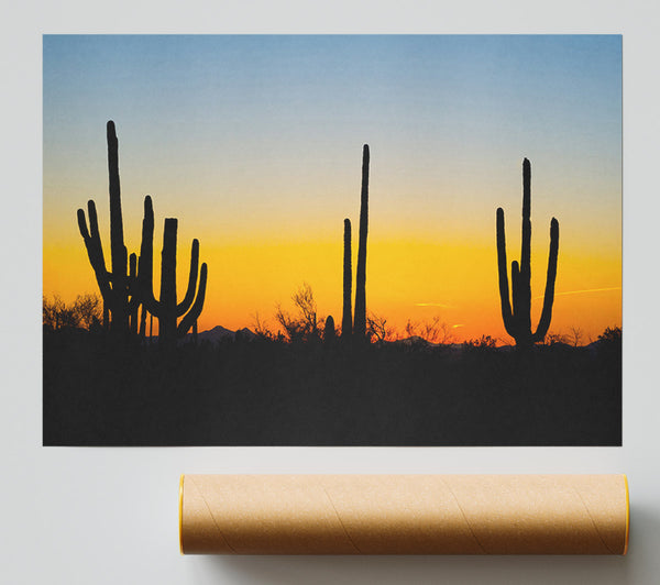 Cactus Sunset Giclee Print