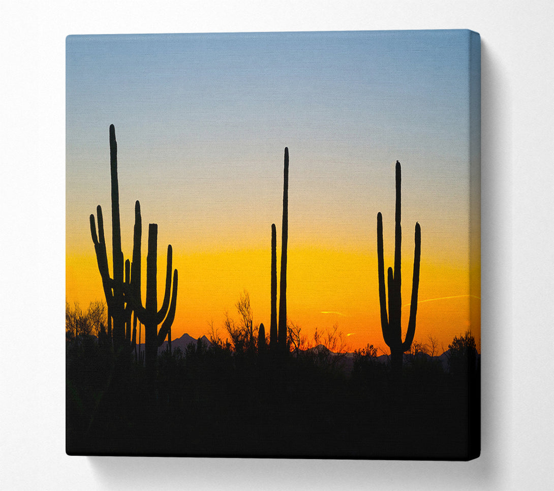  A Canvas Print of Cactus Sunset Canvas Art