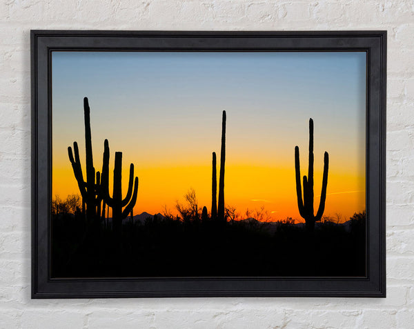 Cactus Sunset Framed Print