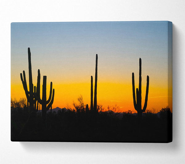 A Canvas Print of Cactus Sunset Canvas Art